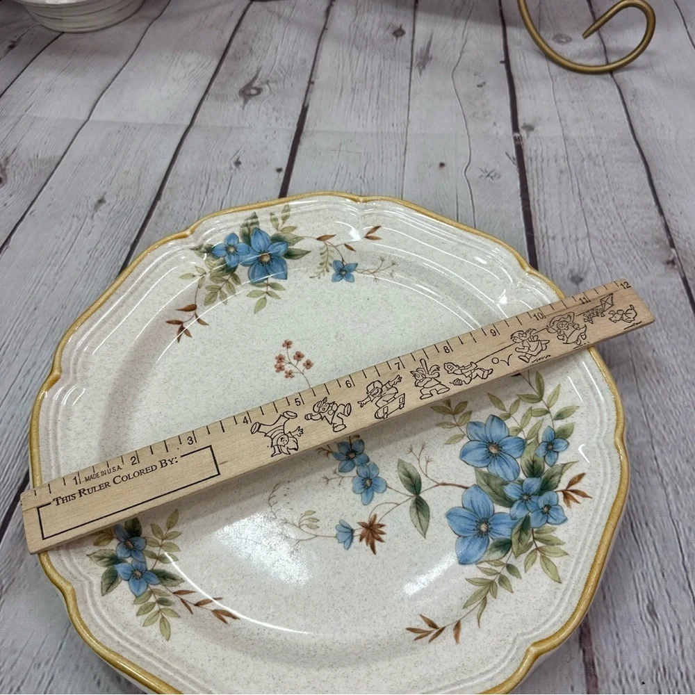 vintage 80s Mikasa day dreams EC 461 garden club dinner plate blue floral 2pc